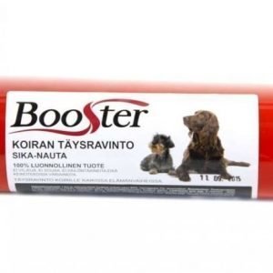 Booster koiran liha-ateria sika-nauta