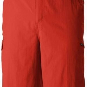 Columbia Silver Ridge Cargo Short Punainen 32