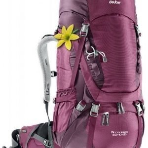 Deuter Aircontact 50+10 SL Berry