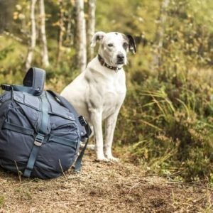 Fjällräven Duffel No 6 Medium Navy