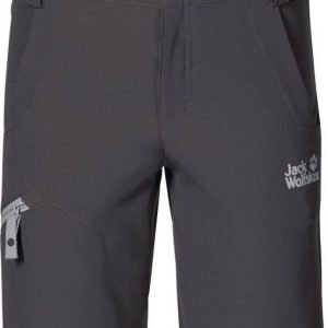 Jack Wolfskin Activate Softshell Shorts Teräs 104