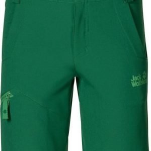 Jack Wolfskin Activate Softshell Shorts Vihreä 104