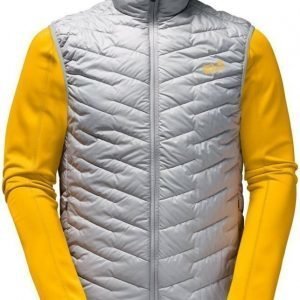 Jack Wolfskin Icy Trail Alu L