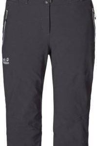 Jack Wolfskin Ionic Pants Women's Teräs 34