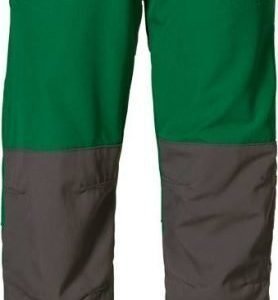 Jack Wolfskin Kids Rascal Pants Vihreä 104