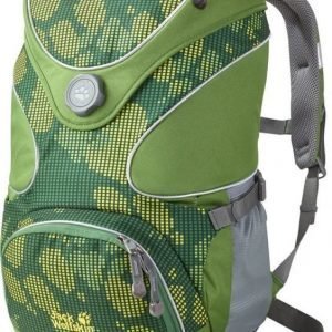 Jack Wolfskin Ramson Top 20 Pack Vihreä