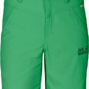 Jack Wolfskin Sun Shorts Vihreä 104