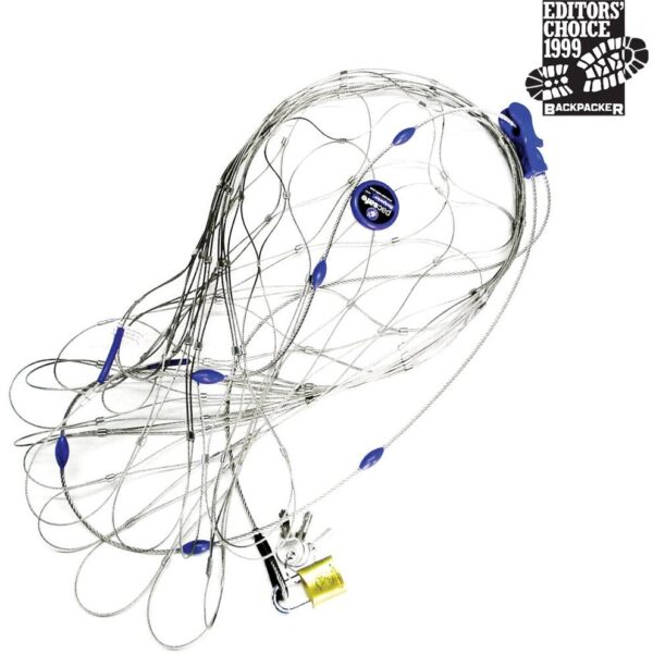 Pacsafe 85