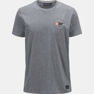 Peak Performance FWT Tee Harmaa L