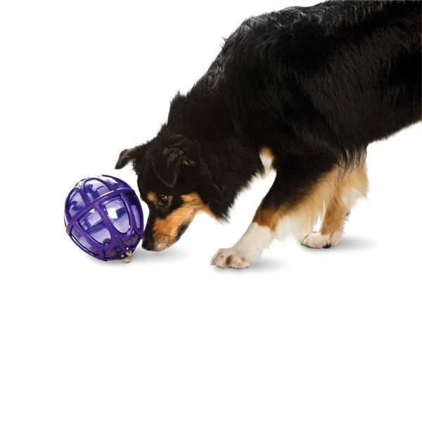 Petsafe BusyBuddy Kibble Nibble