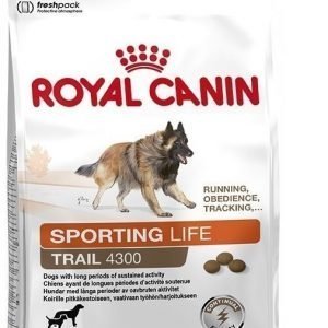 Royal Canin Dog Energy (Trail) 4300 15 kg