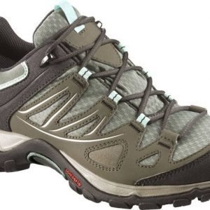 Salomon Ellipse W GTX Harmaa UK 4