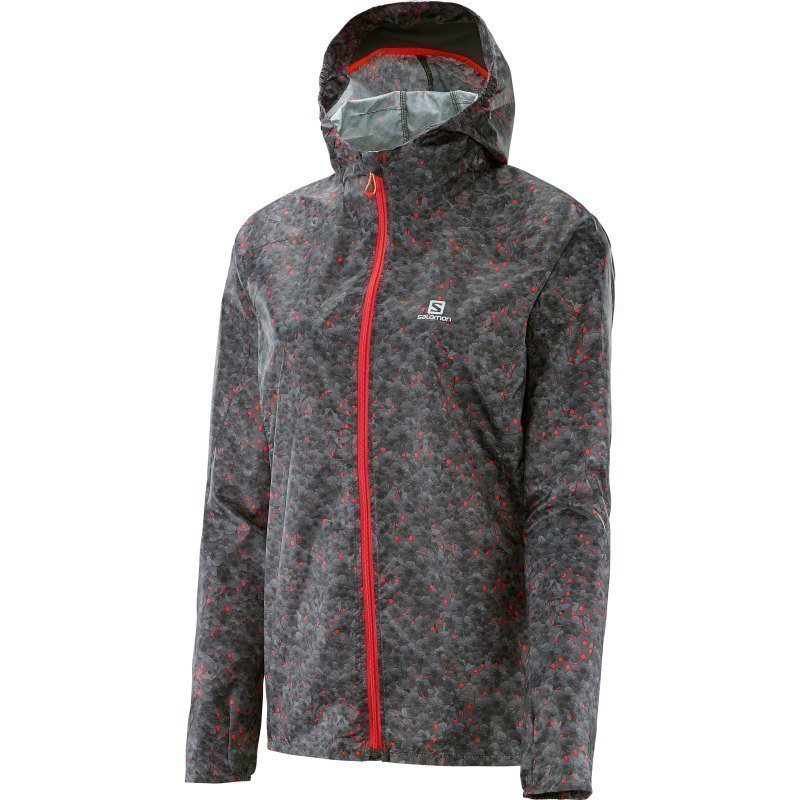 Salomon Fast Wing Graphic Hoodie W XS Galet Grey