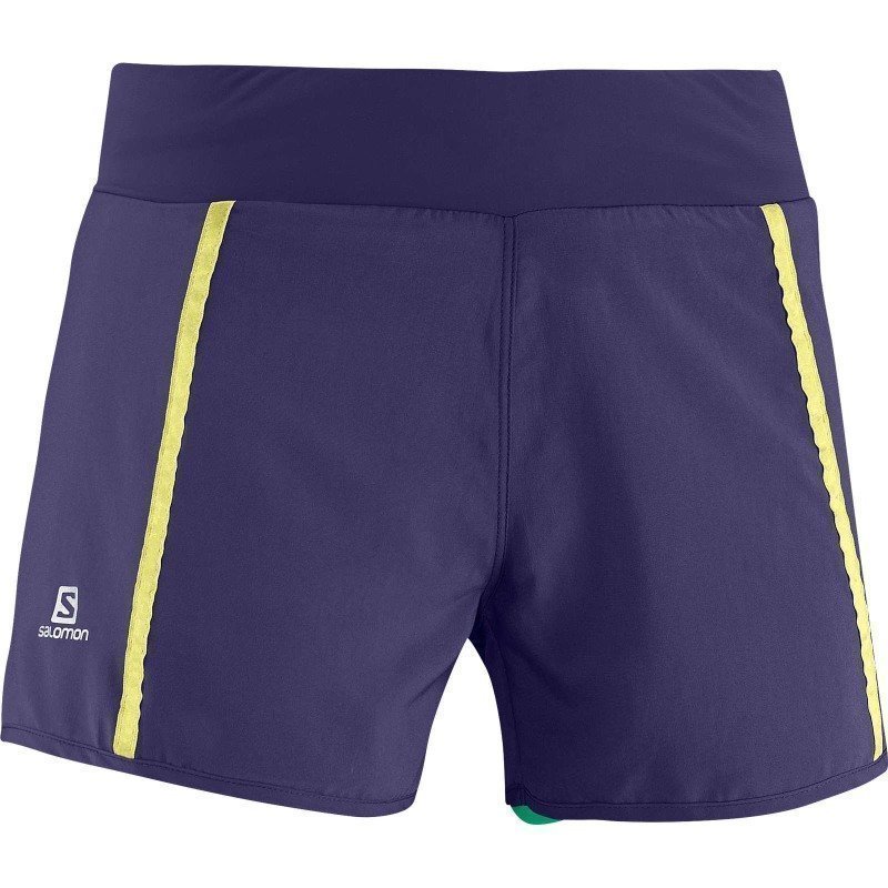 Salomon Park 2in1 Short W XL Artist Grey-X