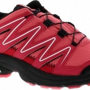 Salomon XT Atika II W GTX Pink UK 4