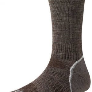 SmartWool PHD Outdoor Light Men Taupe M