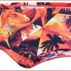 Speedo Mangobango Allover 14cm Brief (sini/punainen)