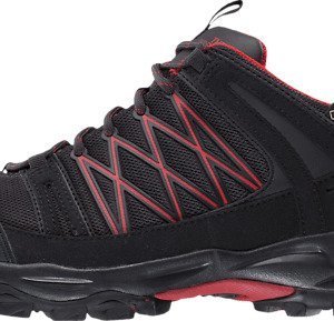 The North Face M Alteo Gtx Vaelluskengät