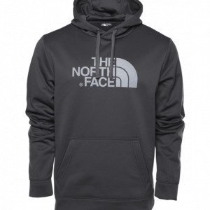 The North Face M Surgent Hd Po Hoodie Huppari